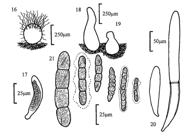 Figures 16-21